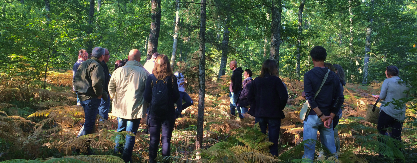 groupe de personnes en forêt