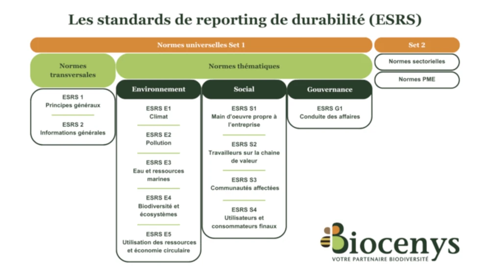 tableau des standards de reporting durabilité (ESRS)