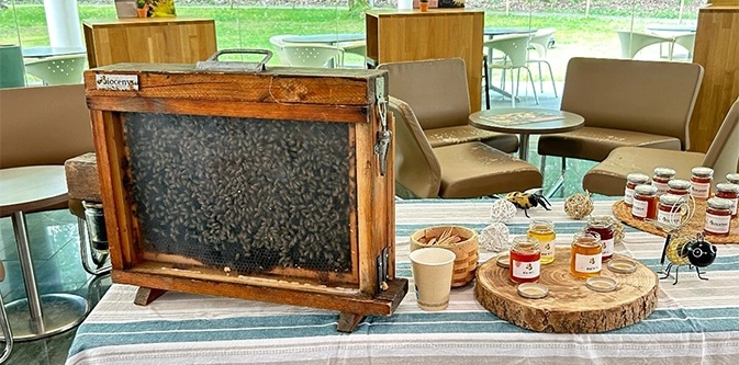 une ruche derrière une plaque de verre est posée sur une table