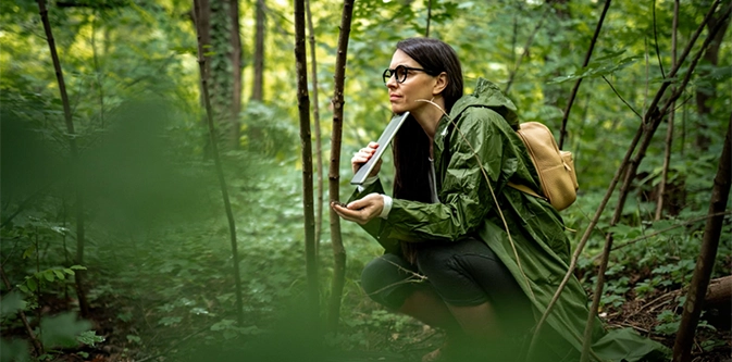 Une écologue observe la faune et la flore en forêt dans le cadre d'un diagnostique écologique