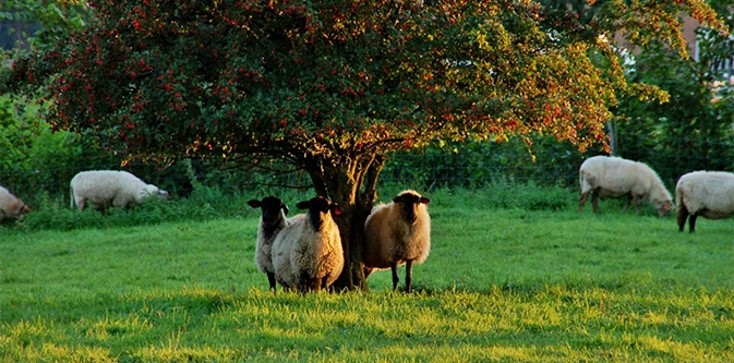 Une animatrice sensibilise les employés d'une entreprise à la biodiversité 