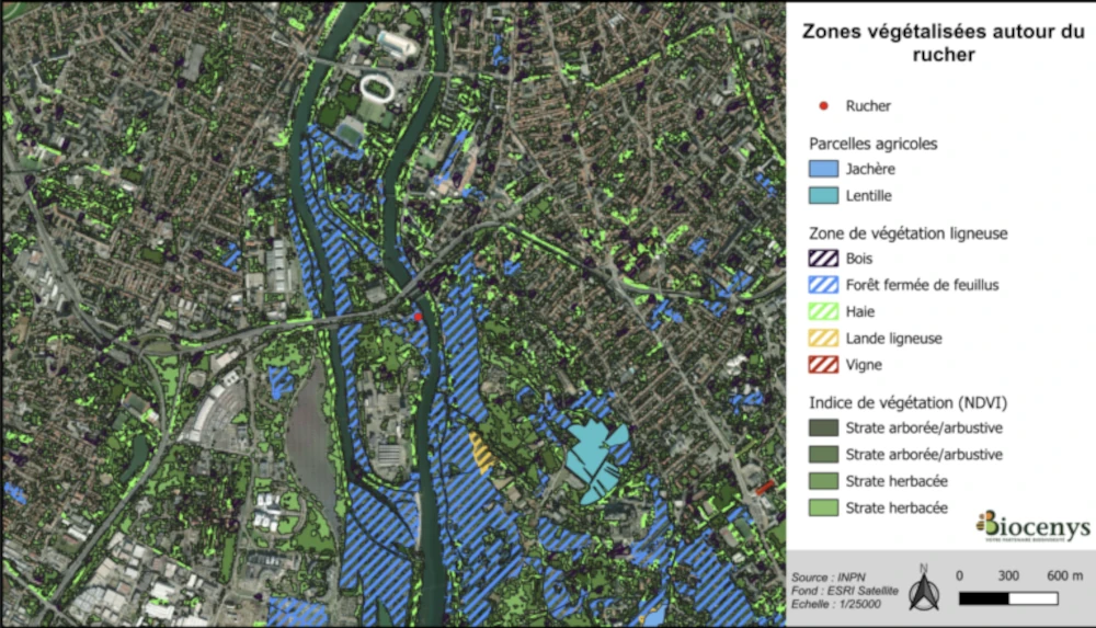 zone géographique montrant les zones végétalisées autour d'un rucher